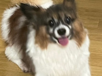 챗 GPT 디즈니 올바른 사용처