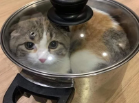 충격적인 나비탕 실물.jpg