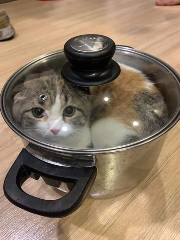 충격적인 나비탕 실물.jpg