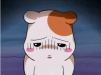 아 회사 바카라 망했네요 