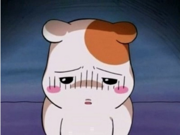 아 회사 바카라 망했네요