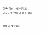 현재 서로 충격받고있는 한국 감성 사진