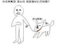 누가 개소리를 더 잘하는지 비교해보자 