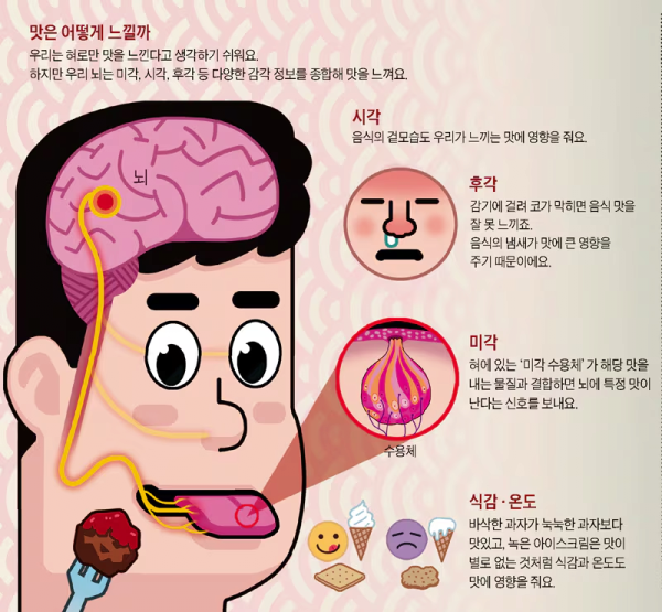 아이스크림이 설탕 폭탄일 수 밖에 없는 원리