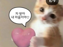 넴붕이들 바다 주세용~~