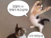 안 되겠구만 ㅜㅜ