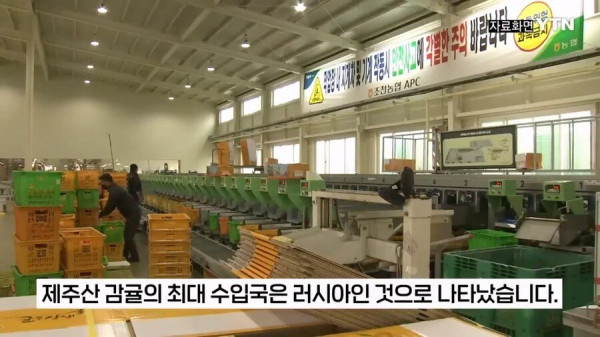 제주 감귤 농가를 진짜 살려주는 곳