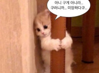 여친이 별이유로 나랑 싸운 후 