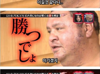 일본 최강의 스모 선수의 피지컬 수준