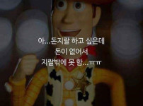 어쩔 수 없지 뭐