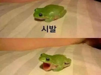 오늘 우리 엘지는 1위를 지켜낼수 있을꺼