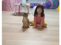 아빠와 딸, 고양이 4년간 변화