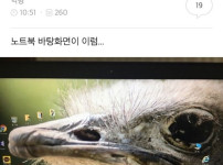 우리 오빠 진짜 ㅂㅅ같다