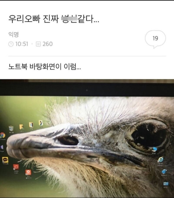 우리 오빠 진짜 ㅂㅅ같다