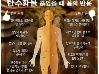 탄수화물을 끊었을때 몸의 변화.