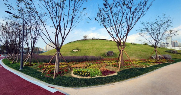 (호러) 운정신도시 공동묘지 변천사