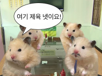 직장인들이 제육 많이 먹는 이유.jpg