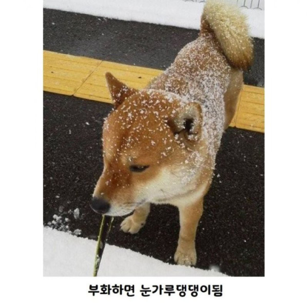 곧 다가 올 여름을 위해 상온에 두면 안 되는 음식들 모음 (필독)