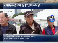 개망한 백사장