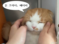 돈이 없어서 크라이 하지 ㅋㅋㅋ