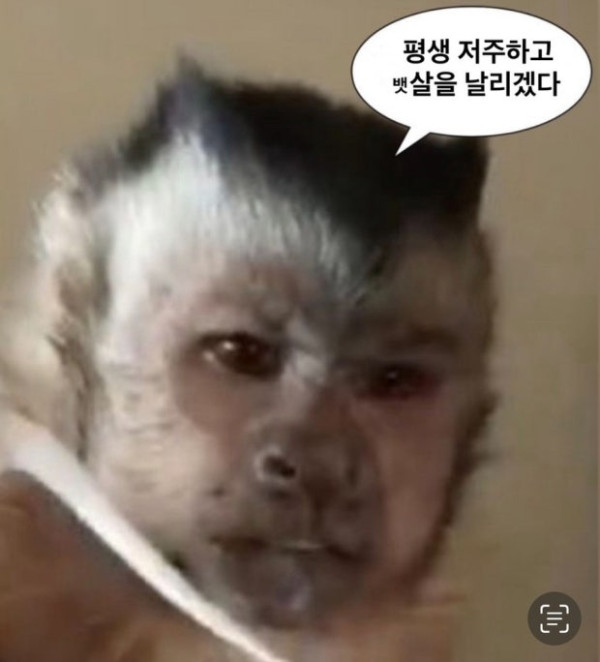 평생 저주
