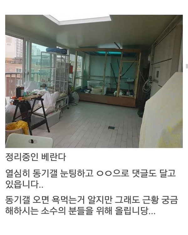 베란다에 닭장 만든 동물갤러