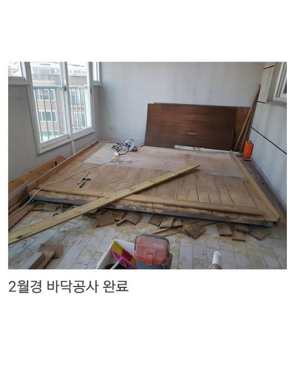 베란다에 닭장 만든 동물갤러