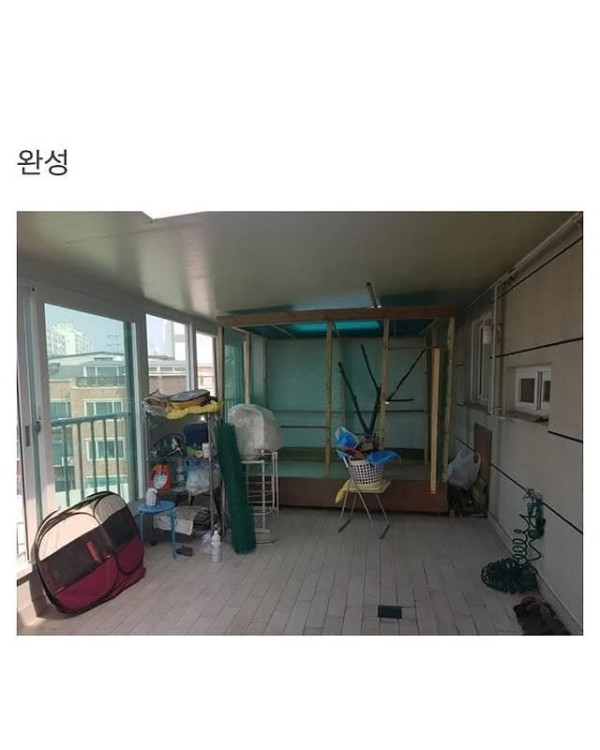 베란다에 닭장 만든 동물갤러