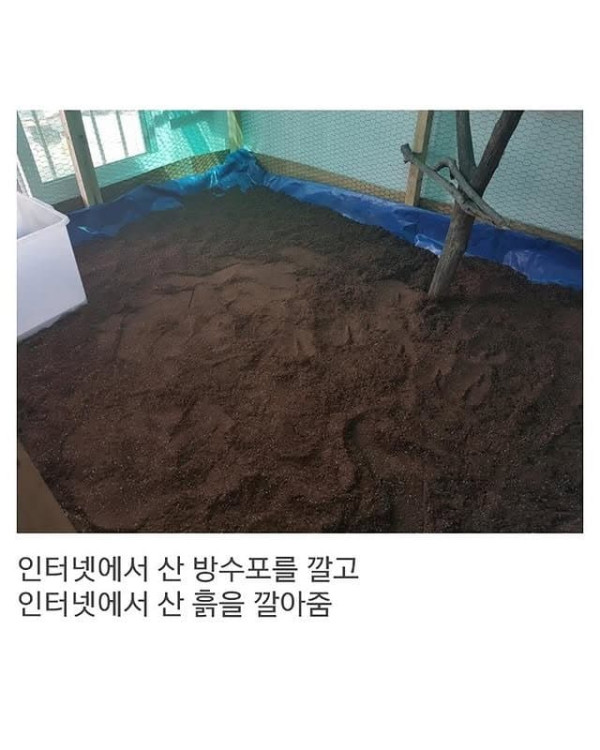 베란다에 닭장 만든 동물갤러