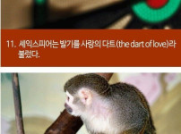 발기에 관한 흥미로운 사실 22개