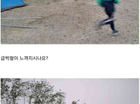 강풍불때 캠핑하러 온 남자 중학생들