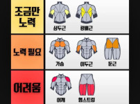 남자들 근육 만들기 난이도 티어