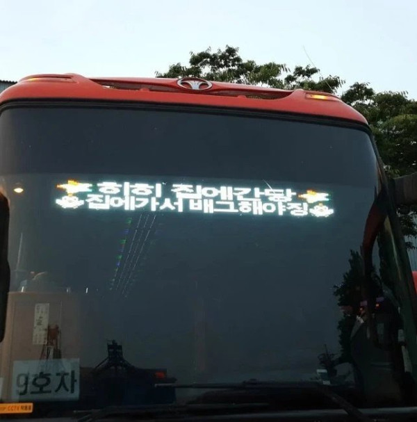 집에가는 버스기사 모음