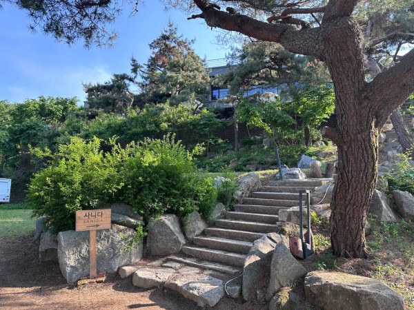 멋진 풍경과 향기로운 커피 산속의 평온과 조화