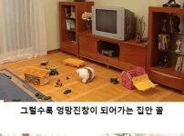 하고싶은걸 다 하고싶은 유부녀