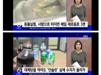 제로음료가 저혈당 유발한다 ㅎㄷㄷㄷㄷㄷ