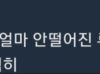 ??? : 순진한 여자 임신시키고 튄 썰 푼다