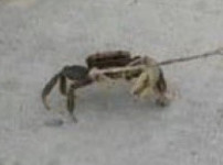 모르는게 산책