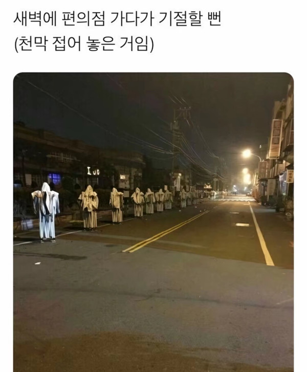 새벽에 보고 기절할 뻔 했다는 광경