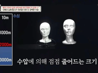 전투모 60+들을 위한 머리 작아지는 법