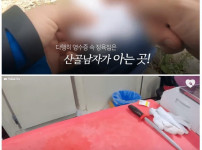 시골사는 유튜버가 주운 가방