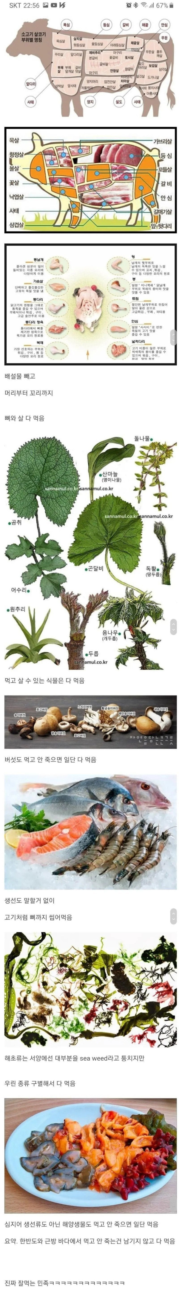 한국인의 식성