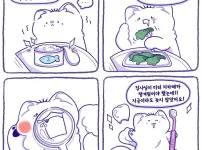 강아지와 고양이 칫솔 홍보용 4컷 만화