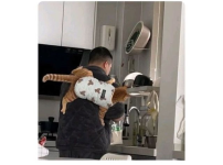 말 안들을 것 같은 고양이