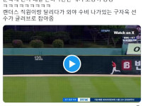 문학야구장 난입한 아기 고양이 근황