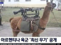 메탈슬러그