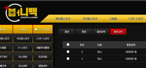 머니백 후기