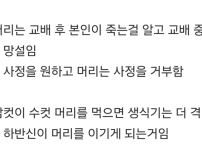 암컷사마귀가 교배할때 수컷사마귀 머리부터 먹는 이유