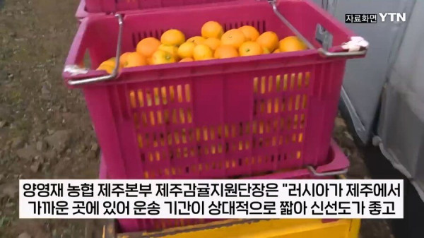 제주 감귤 농가를 진짜 살려주는 곳