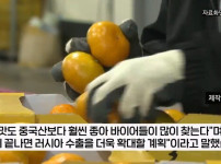 제주 감귤 농가를 진짜 살려주는 곳